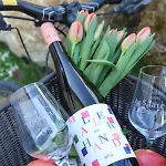 Weinquartier Bad Koesen 65 Qm Kueche Parkplatz Terrasse Weinbergsblick * ナウムブルク