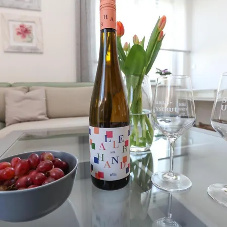 Weinquartier Bad Koesen 65 Qm Kueche Parkplatz Terrasse Weinbergsblick * ناومبورغ