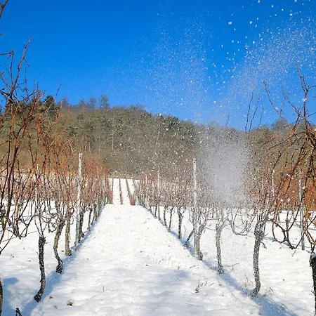 Apartamento Weinquartier Bad Koesen