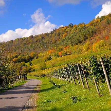 Appartamento Weinquartier Bad Koesen 65 Qm Kueche Parkplatz Terrasse Weinbergsblick