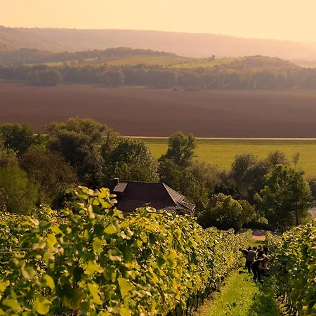 Weinquartier Bad Koesen 65 Qm Kueche Parkplatz Terrasse Weinbergsblick *