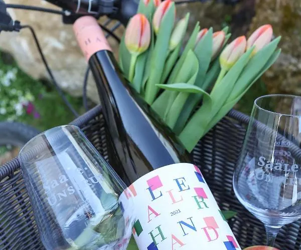 Weinquartier Bad Koesen 65 Qm Kueche Parkplatz Terrasse Weinbergsblick * Naumburg (Saale)