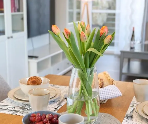 Weinquartier Bad Koesen 65 Qm Kueche Parkplatz Terrasse Weinbergsblick Appartamento