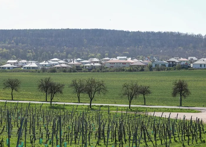 Weinquartier Bad Koesen 65 Qm Kueche Parkplatz Terrasse Weinbergsblick Appartamento *