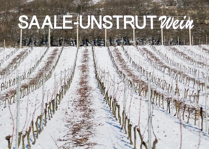 Weinquartier Bad Koesen 65 Qm Kueche Parkplatz Terrasse Weinbergsblick *