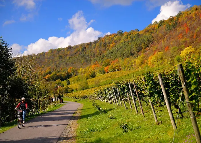 Appartamento Weinquartier Bad Koesen 65 Qm Kueche Parkplatz Terrasse Weinbergsblick