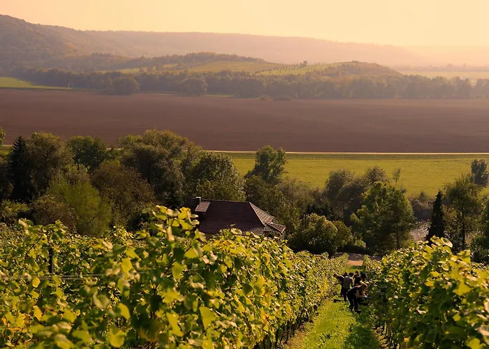 Weinquartier Bad Koesen 65 Qm Kueche Parkplatz Terrasse Weinbergsblick *